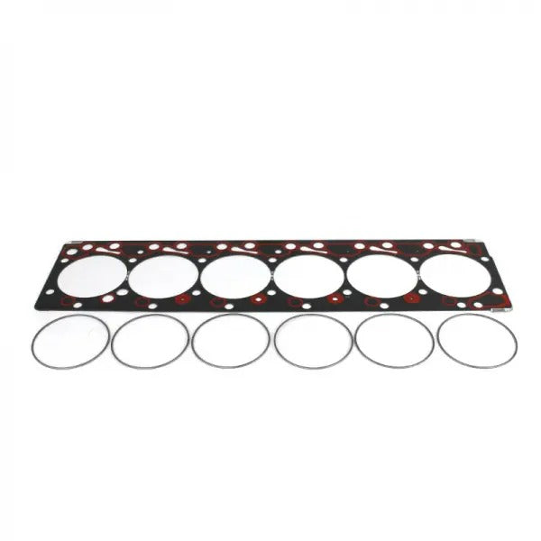 Industrial PDM-54174 Fire Ring Gasket | 1998.5-2002 Dodge 5.9L Cummins 24V